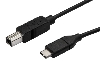 Usb kabel USB-C male <> USB B male, 3m